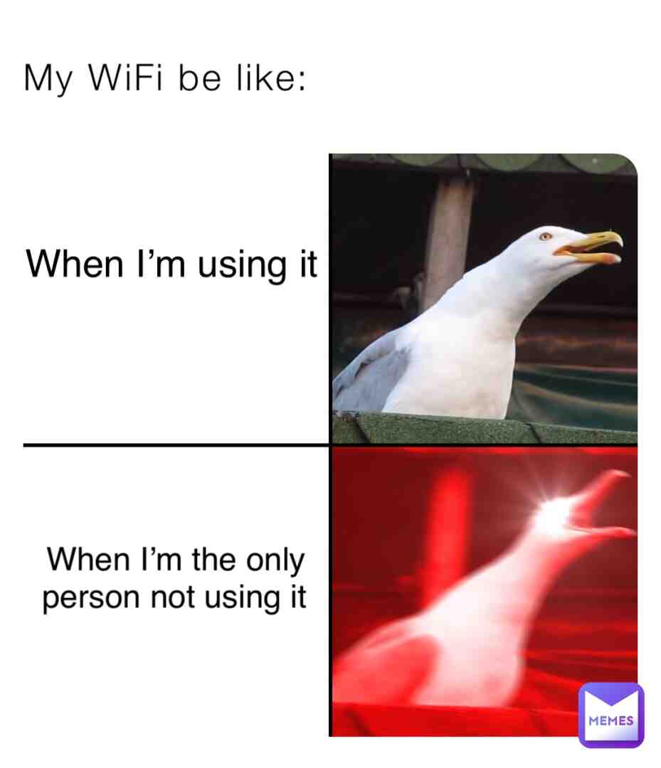 My WiFi be like
