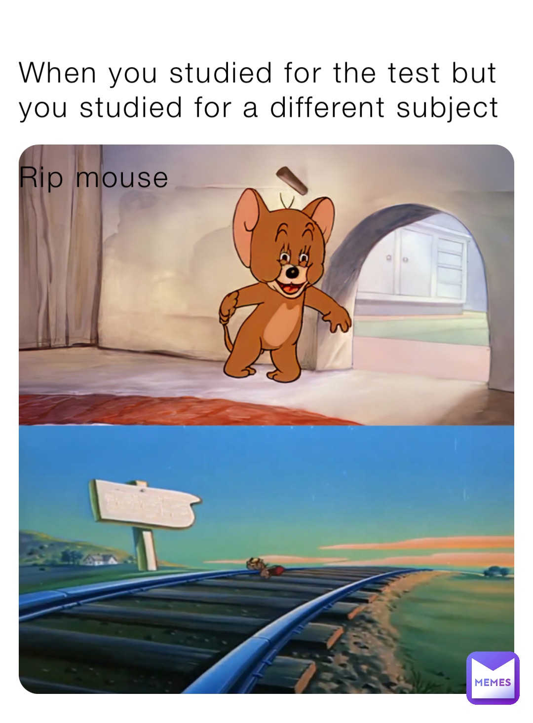 When you studied for the test but you studied for a different subject

Rip mouse
