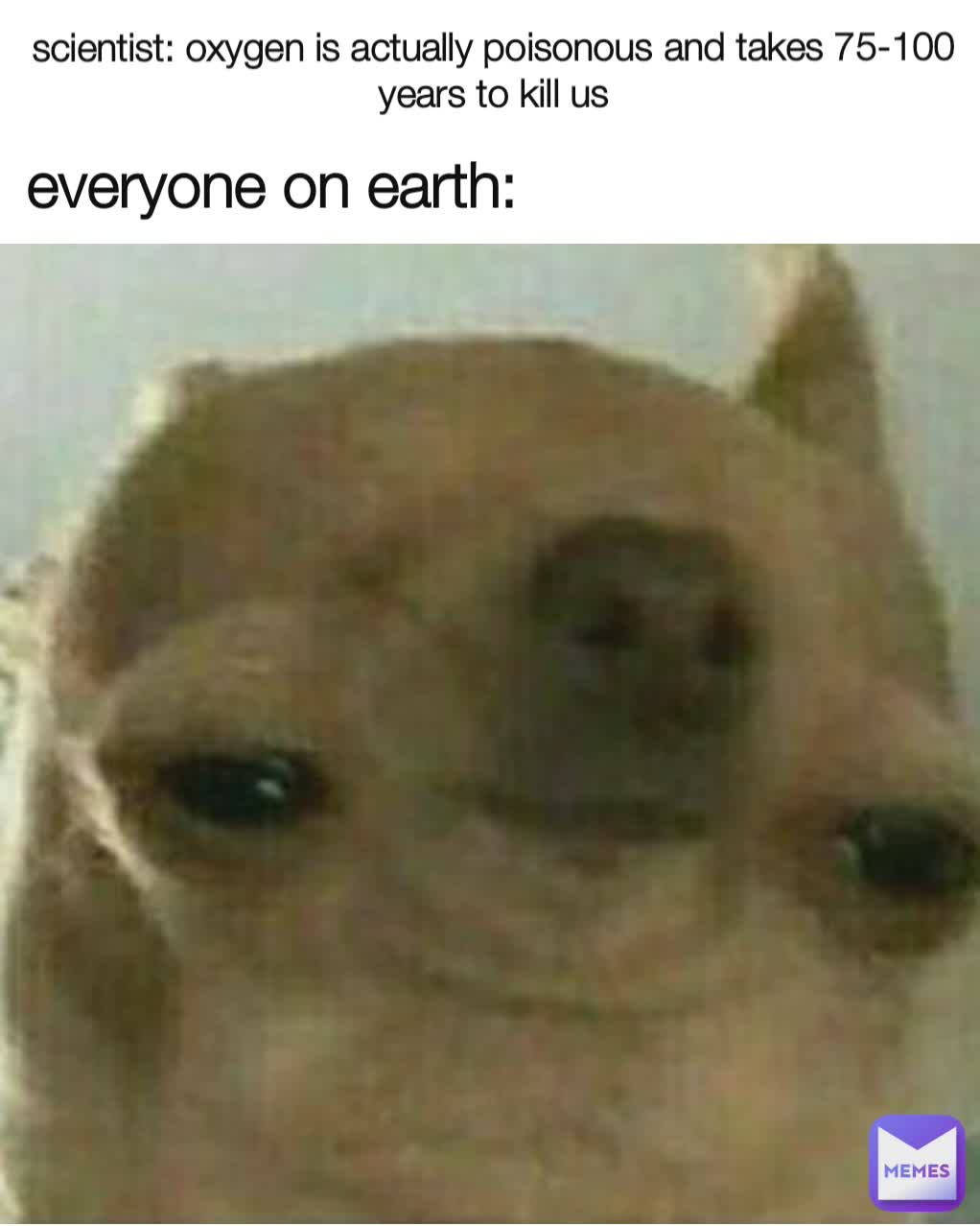 everyone on earth: scientist: oxygen is actually poisonous and takes 75-100 years to kill us