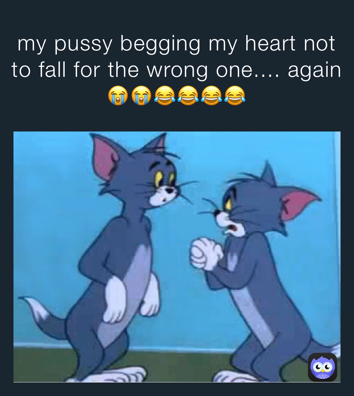 my pussy begging my heart not to fall for the wrong one.... again 😭😭😂😂😂😂