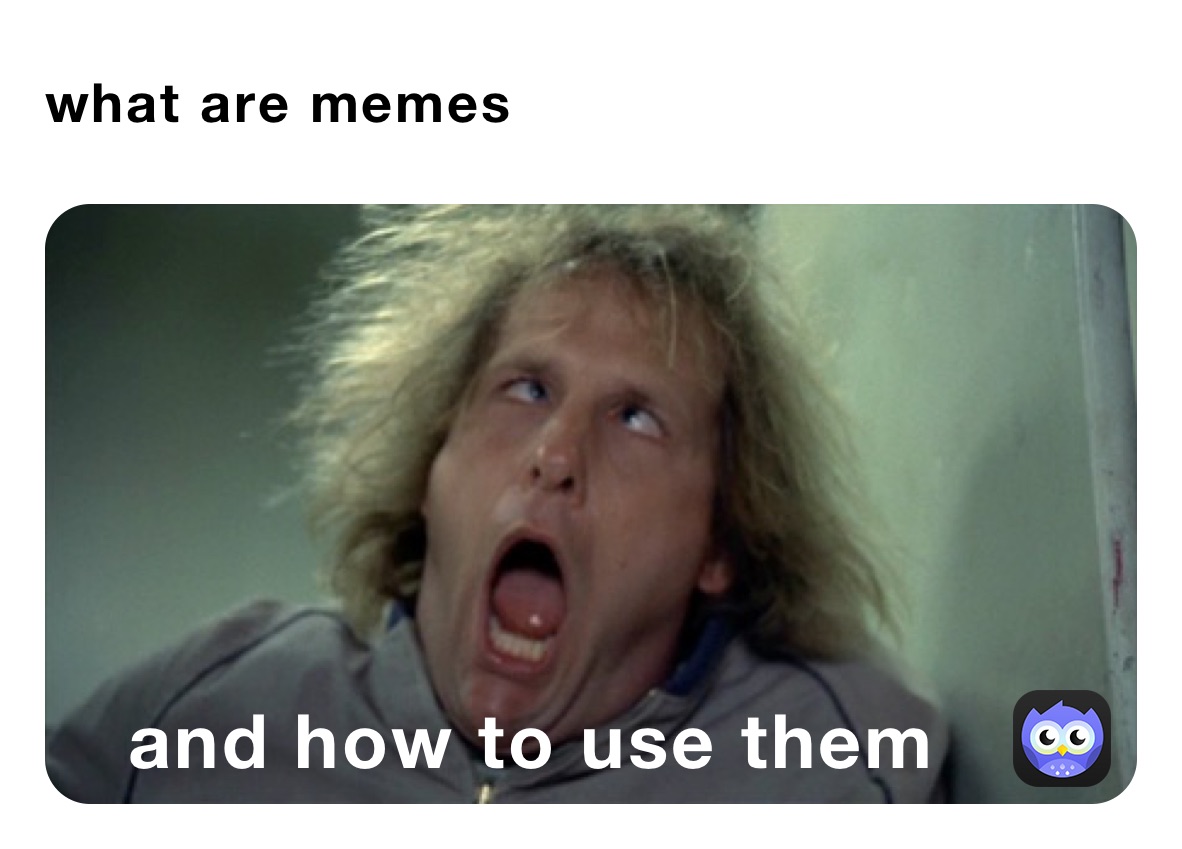 what are memes