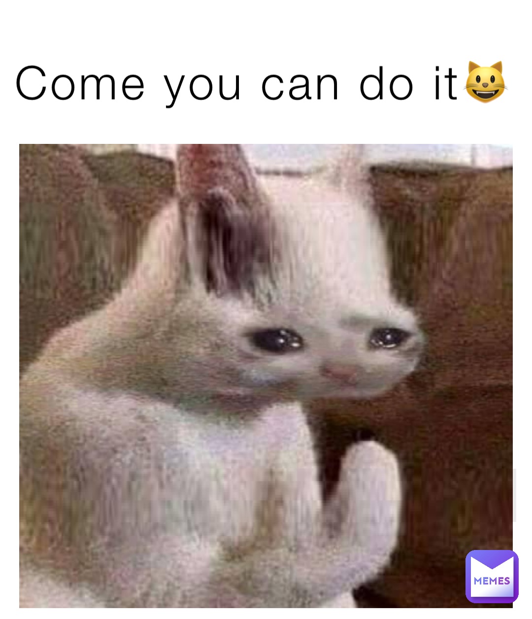 Come you can do it😺