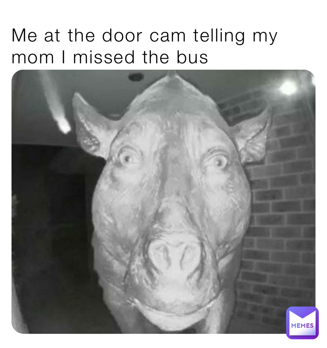 Me at the door cam telling my mom I missed the bus