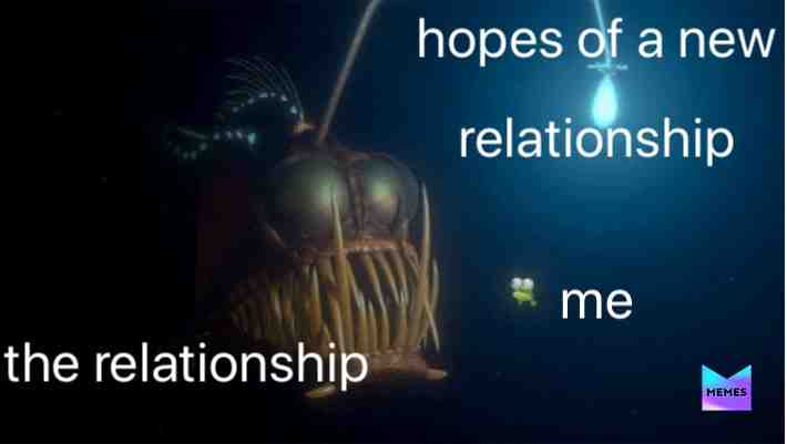 Meme preview
