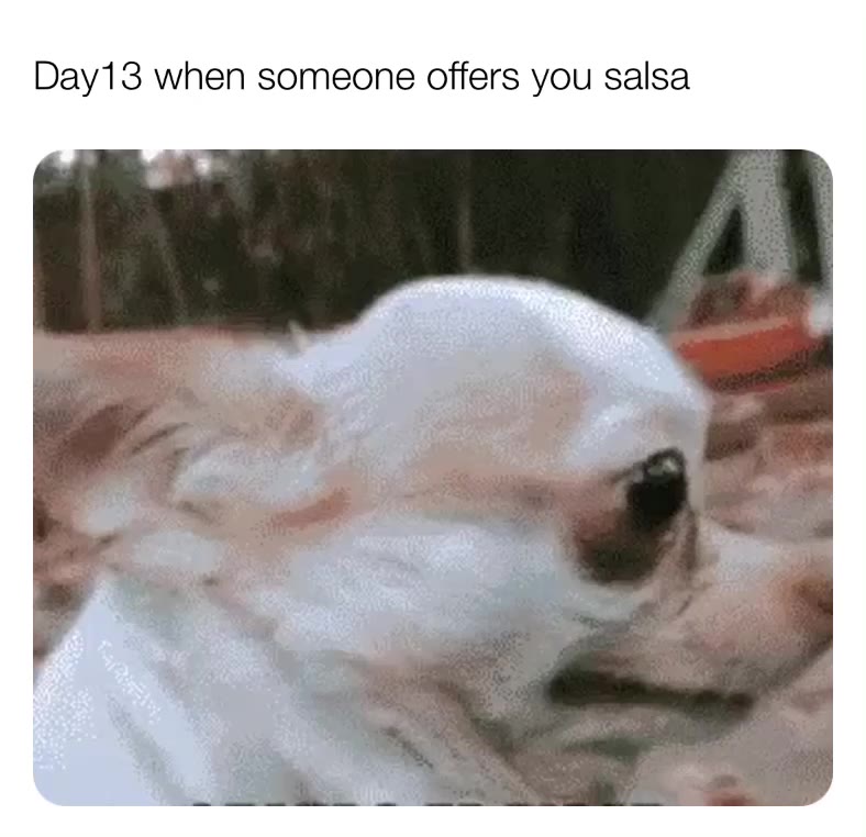 Meme preview