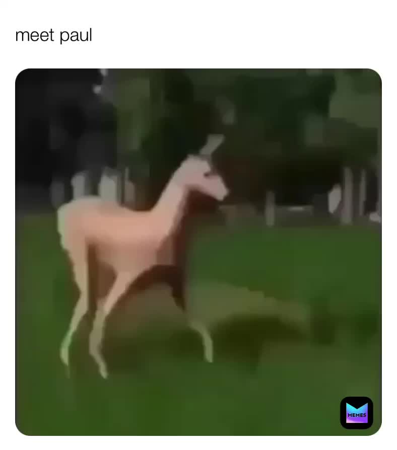 Meme shared by @bananathighs