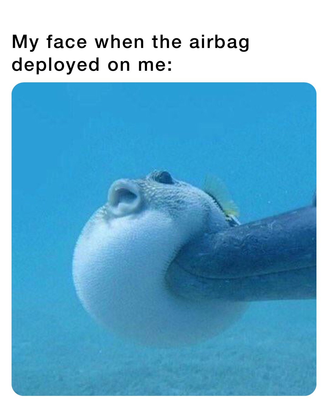 My face when the airbag deployed on me: