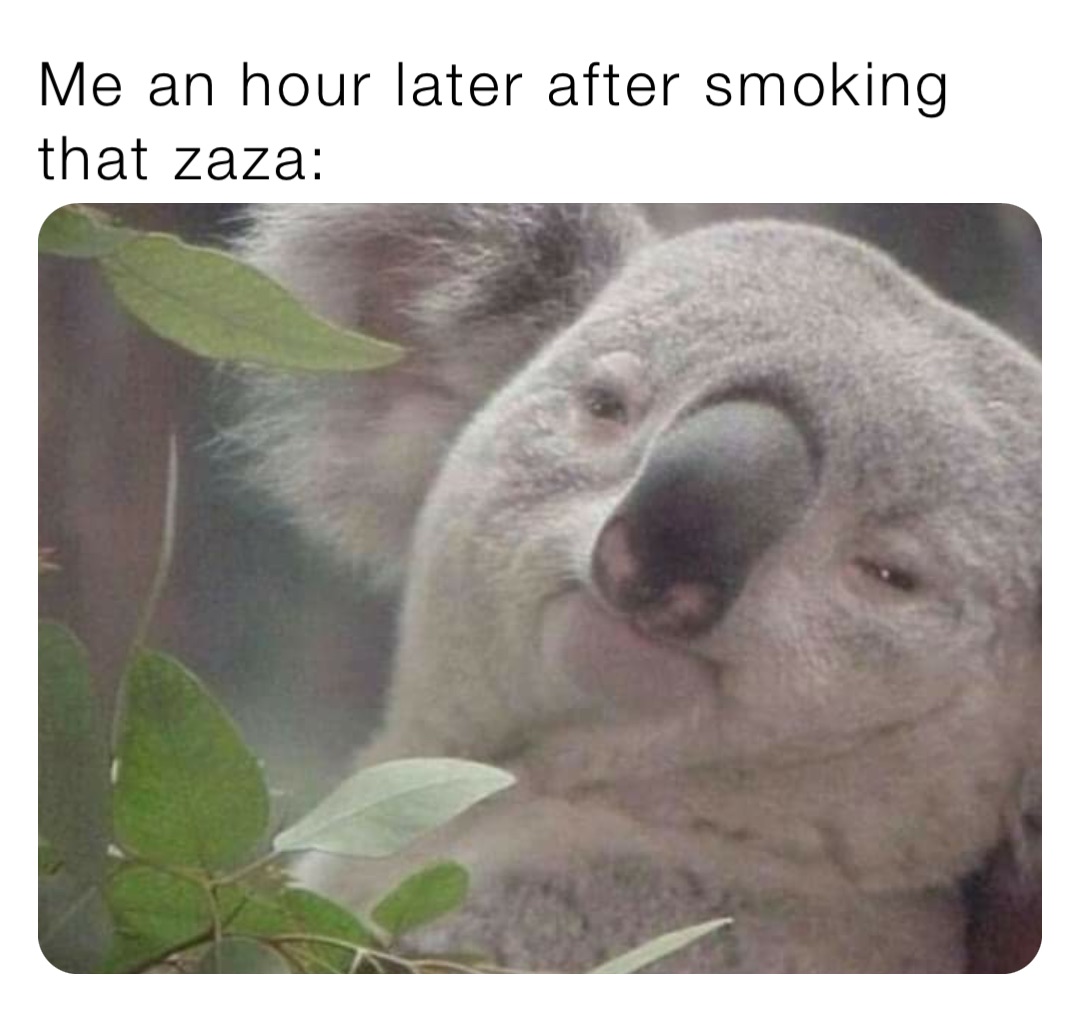 Me an hour later after smoking that zaza: