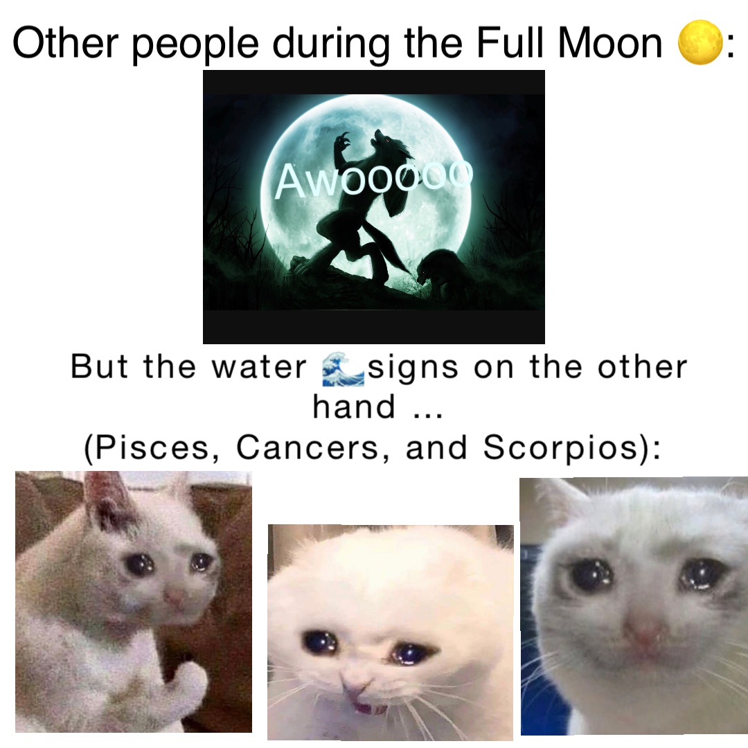 But the water 🌊signs on the other hand … 
(Pisces, Cancers, and Scorpios): Other people during the Full Moon 🌕: Awooooo