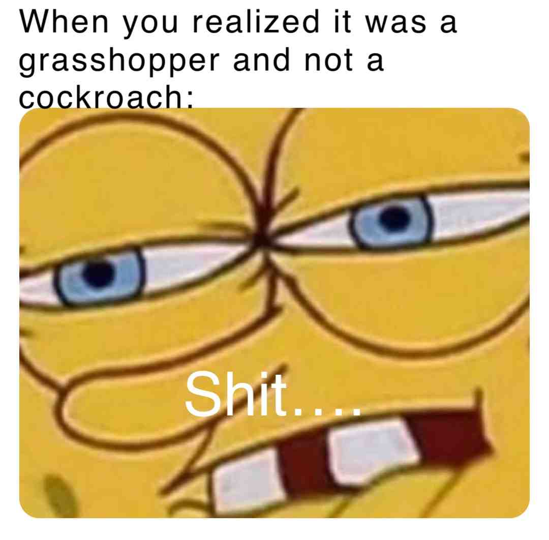 #grasshopper #cockroach #bugs #spongebob #spongebobmemes #shit