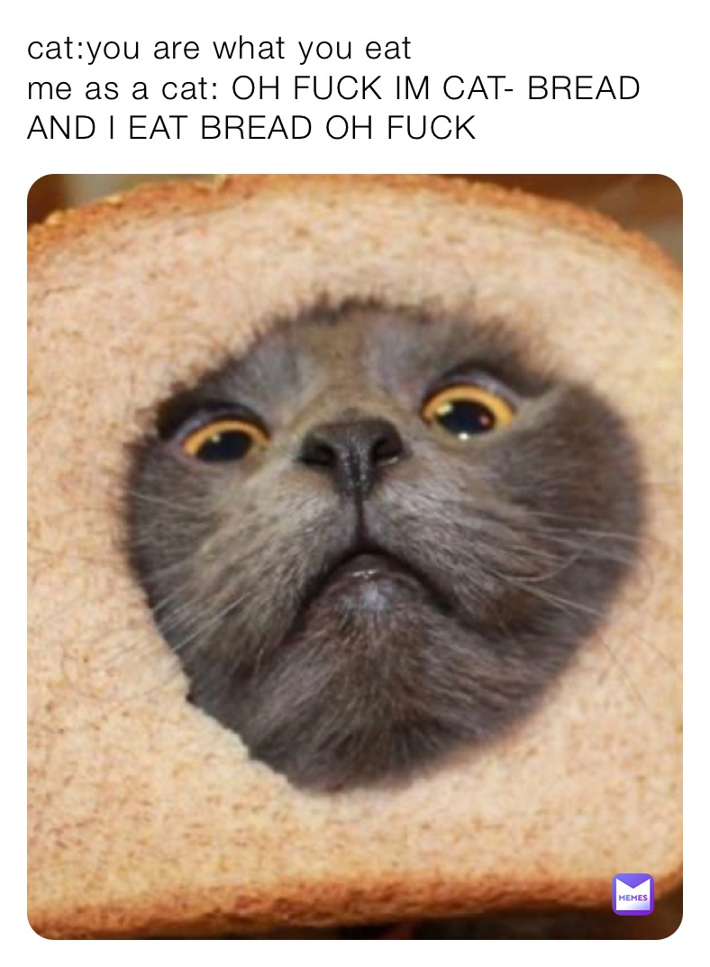 cat:you are what you eat me as a cat: OH FUCK IM CAT- BREAD AND I EAT BREAD  OH FUCK | @nopewashere | Memes