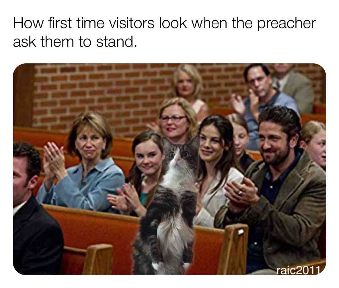 #churchmemes #sunday #cats