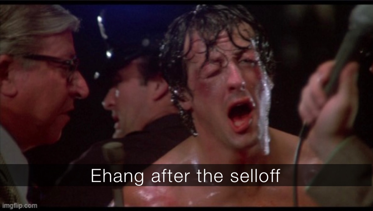 Ehang after the selloff 