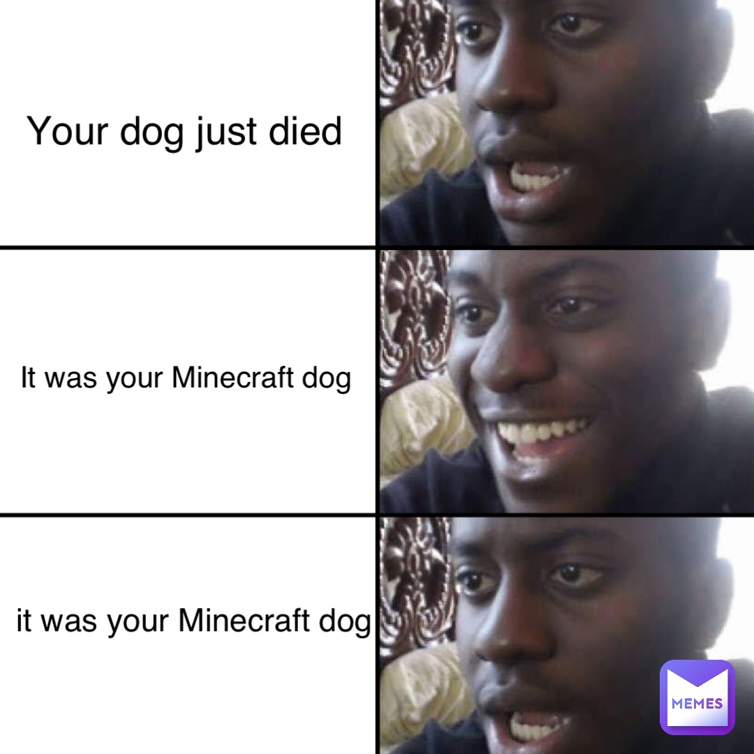 Your dog just died It was your Minecraft dog it was your Minecraft dog