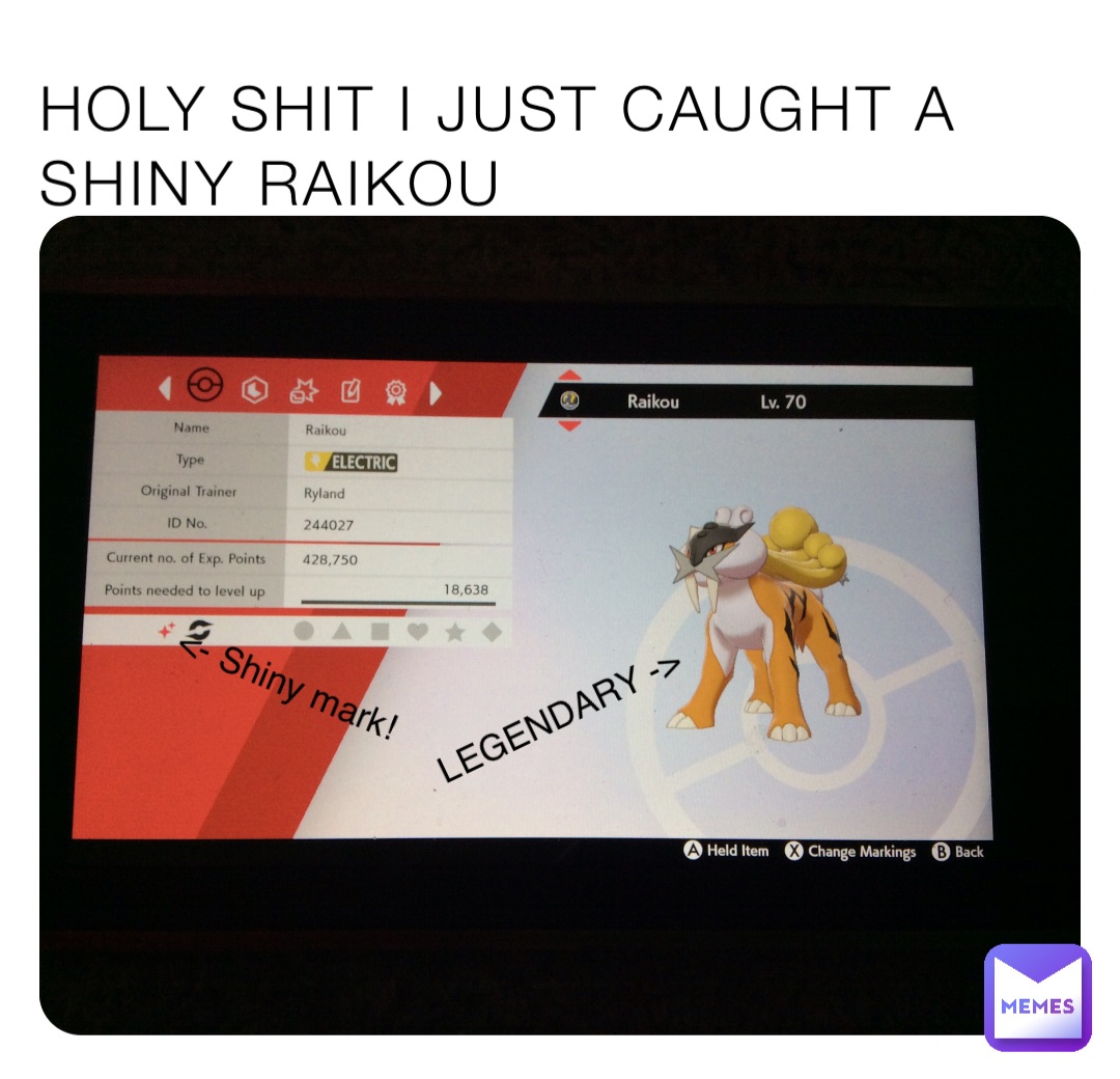 HOLY SHIT I JUST CAUGHT A SHINY RAIKOU LEGENDARY -> <- Shiny mark!