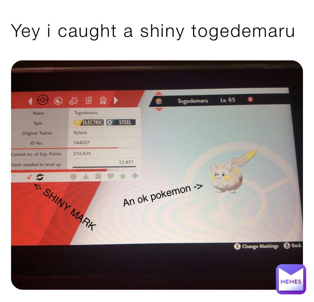 Yey i caught a shiny togedemaru An ok pokemon -> <- SHINY MARK