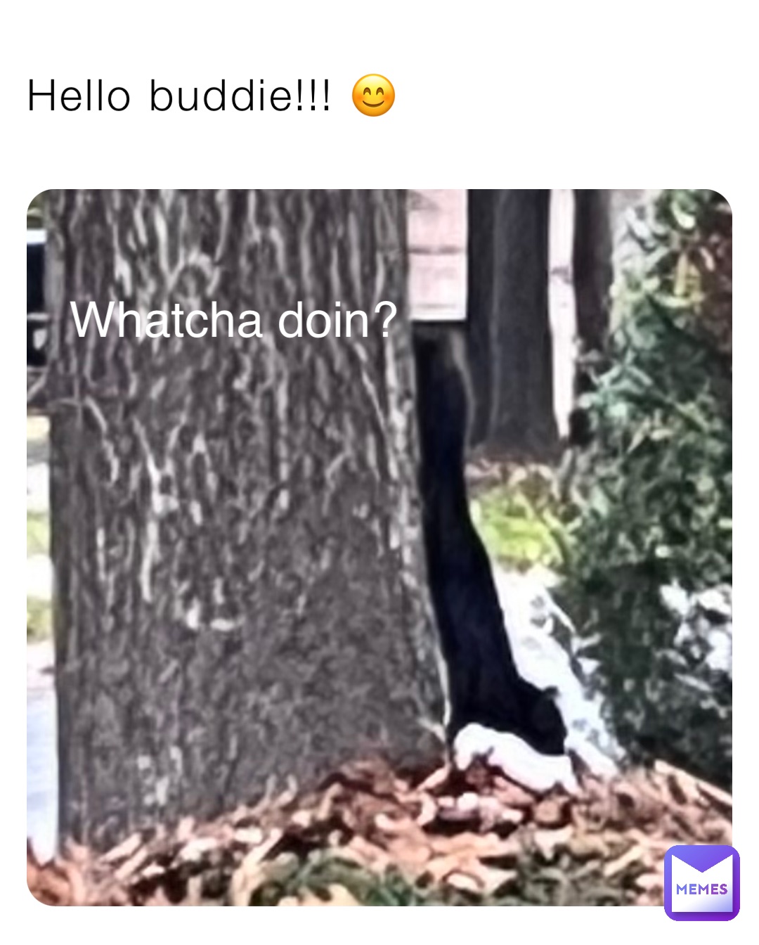 Meme by Gmoneyiscool123456