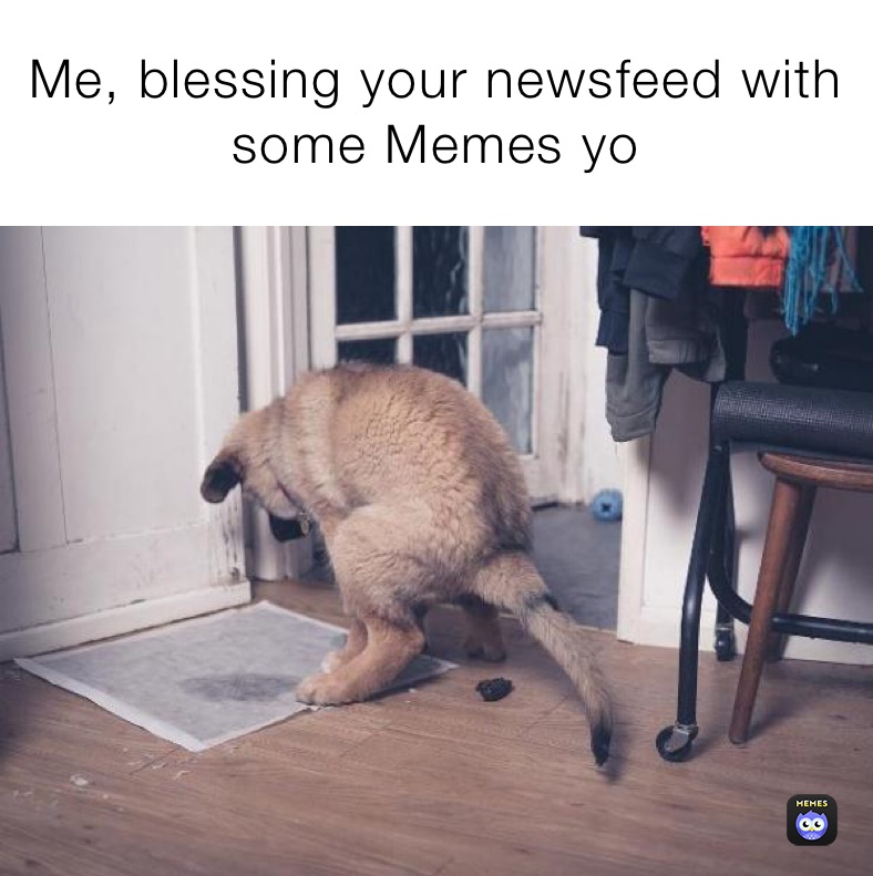 Me, blessing your newsfeed with some Memes yo