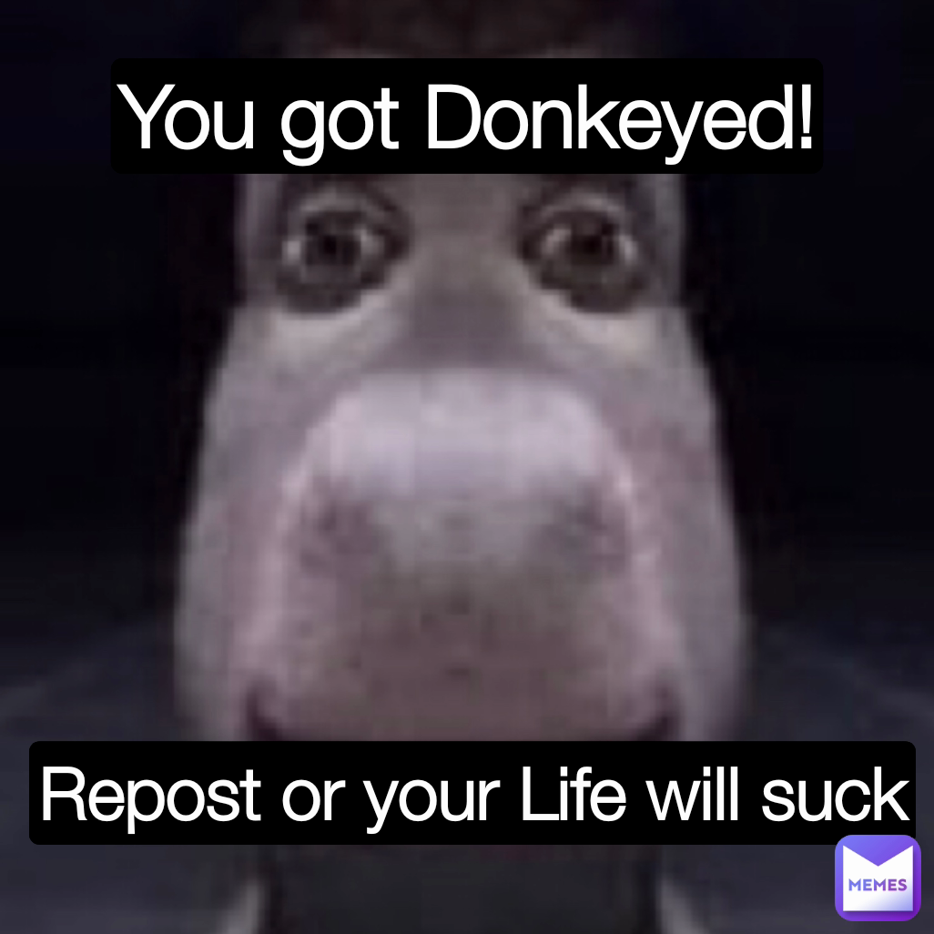 You got Donkeyed! Repost or your Life will suck