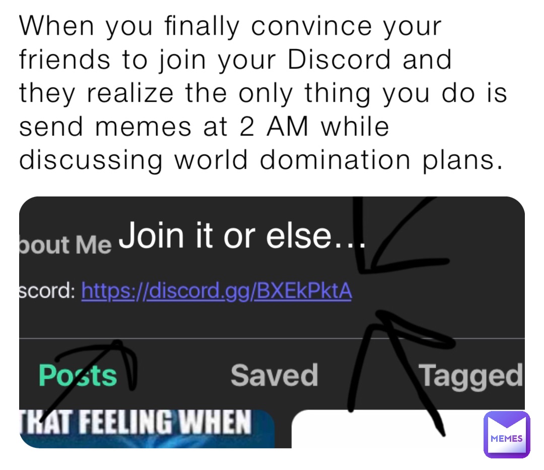When you finally convince your friends to join your Discord and they realize the only thing you do is send memes at 2 AM while discussing world domination plans. Join it or else…