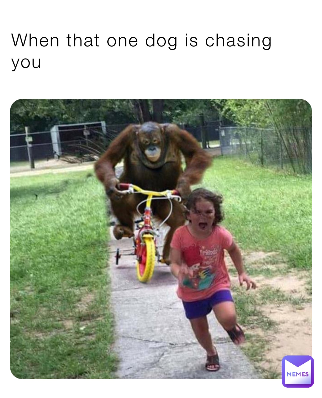 When that one dog is chasing you