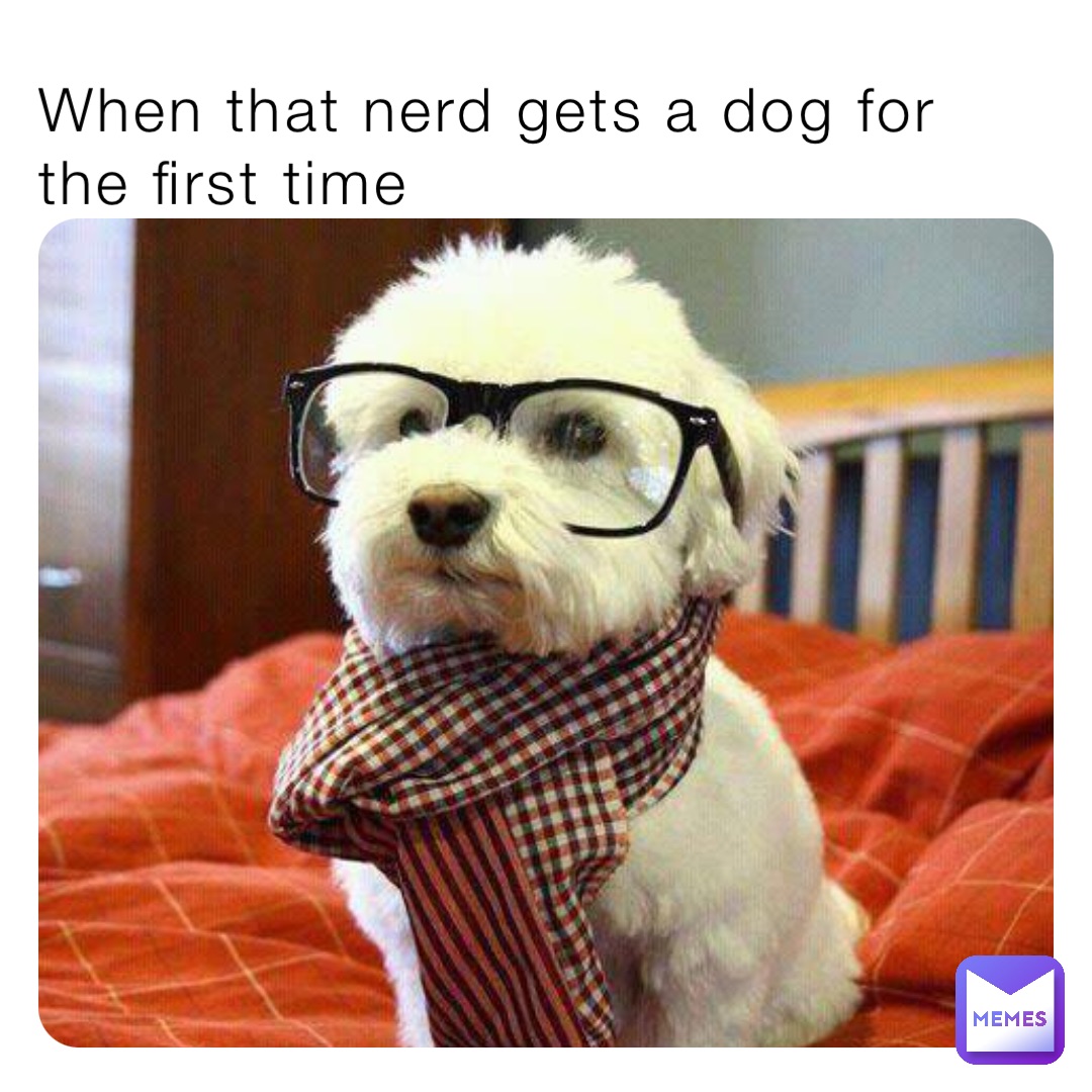 When that nerd gets a dog for the first time