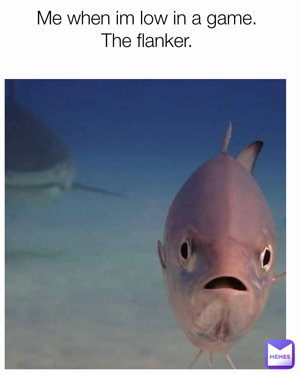 Me when im low in a game. 
The flanker. 
