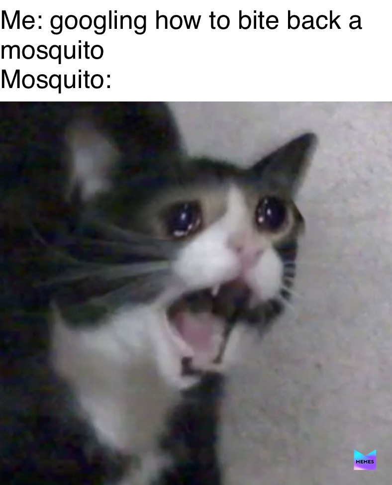 Meme by victorsichev