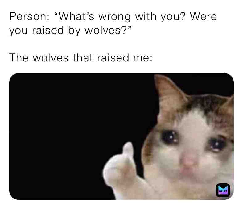Meme shared by @mememuffin101
