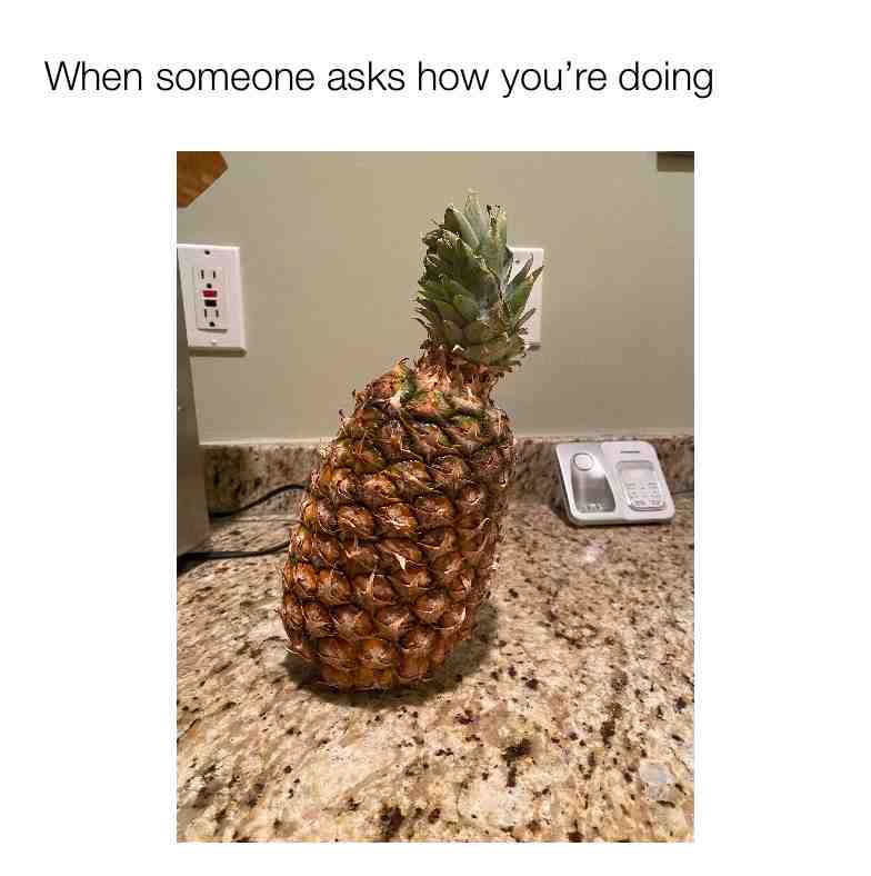 Oh if this pineapple could speak