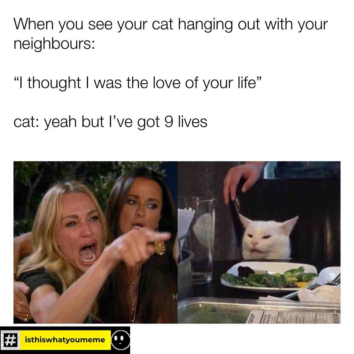 ????
#dailymemes #funny #isthiswhatyoumeme #funny #memes #lovememes #funnymemes #funnymeme #memesfordays #memesengraƧados #humor #humour #lol #meme #cat #savage