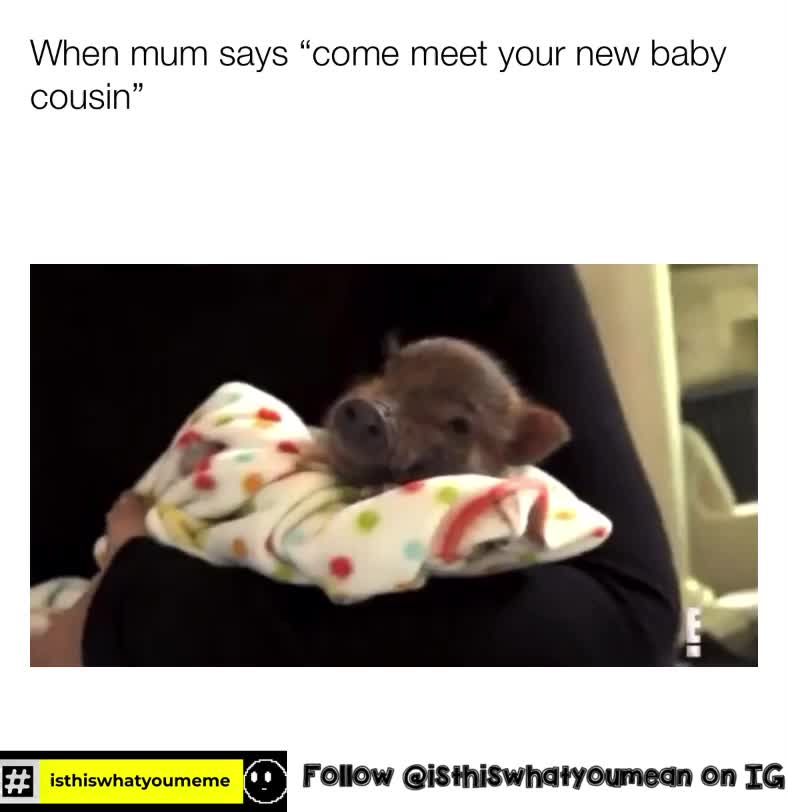 ????????
•
•
•
 #dailymemes  #funny  #isthiswhatyoumeme  #funny  #memes  #lovememes  #funnymemes  #funnymeme  #memesfordays  #memesengraçados  #humor  #humour  #lol  #meme  #baby  #kardashian  #kardashiansmemes  #random