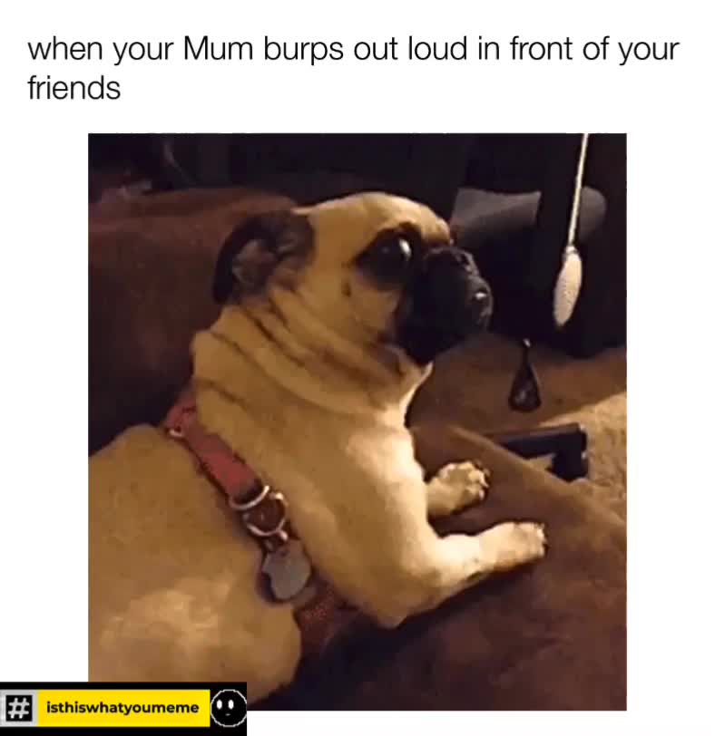 ??????  #dailymemes  #funny  #isthiswhatyoumeme  #funny  #memes  #lovememes  #funnymemes  #funnymeme  #memesfordays  #memesengraçados  #humor  #humour  #lol  #meme