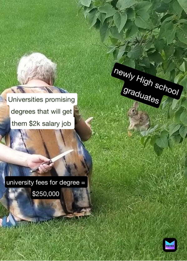 newly High school 
graduates Universities promising 
degrees that will get
them $2k salary job  university fees for degree = 
$250,000
