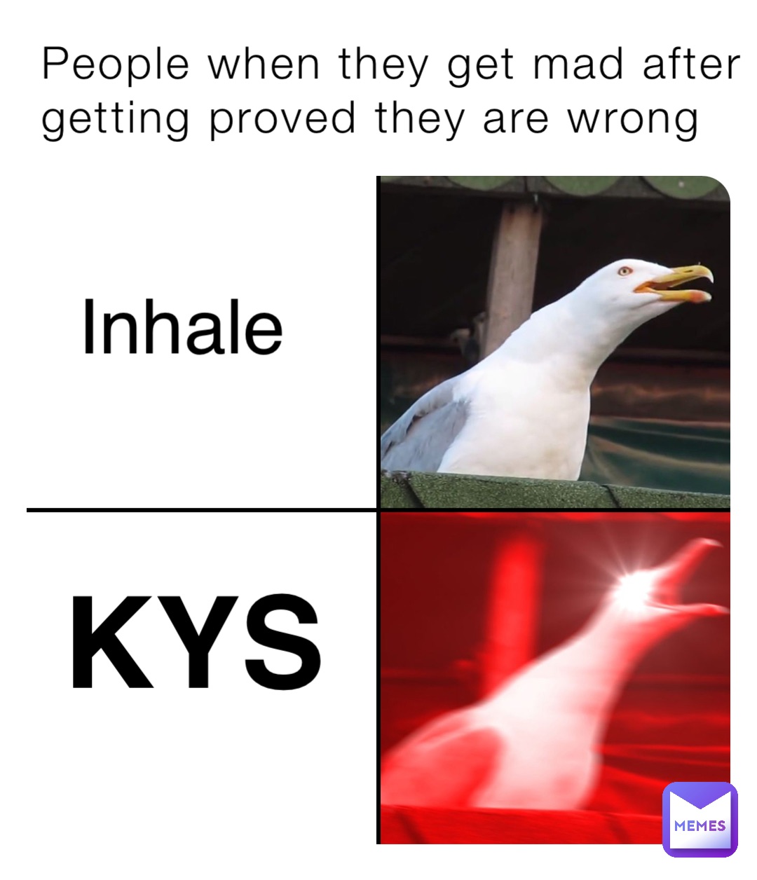 People when they get mad after getting proved they are wrong KYS Inhale