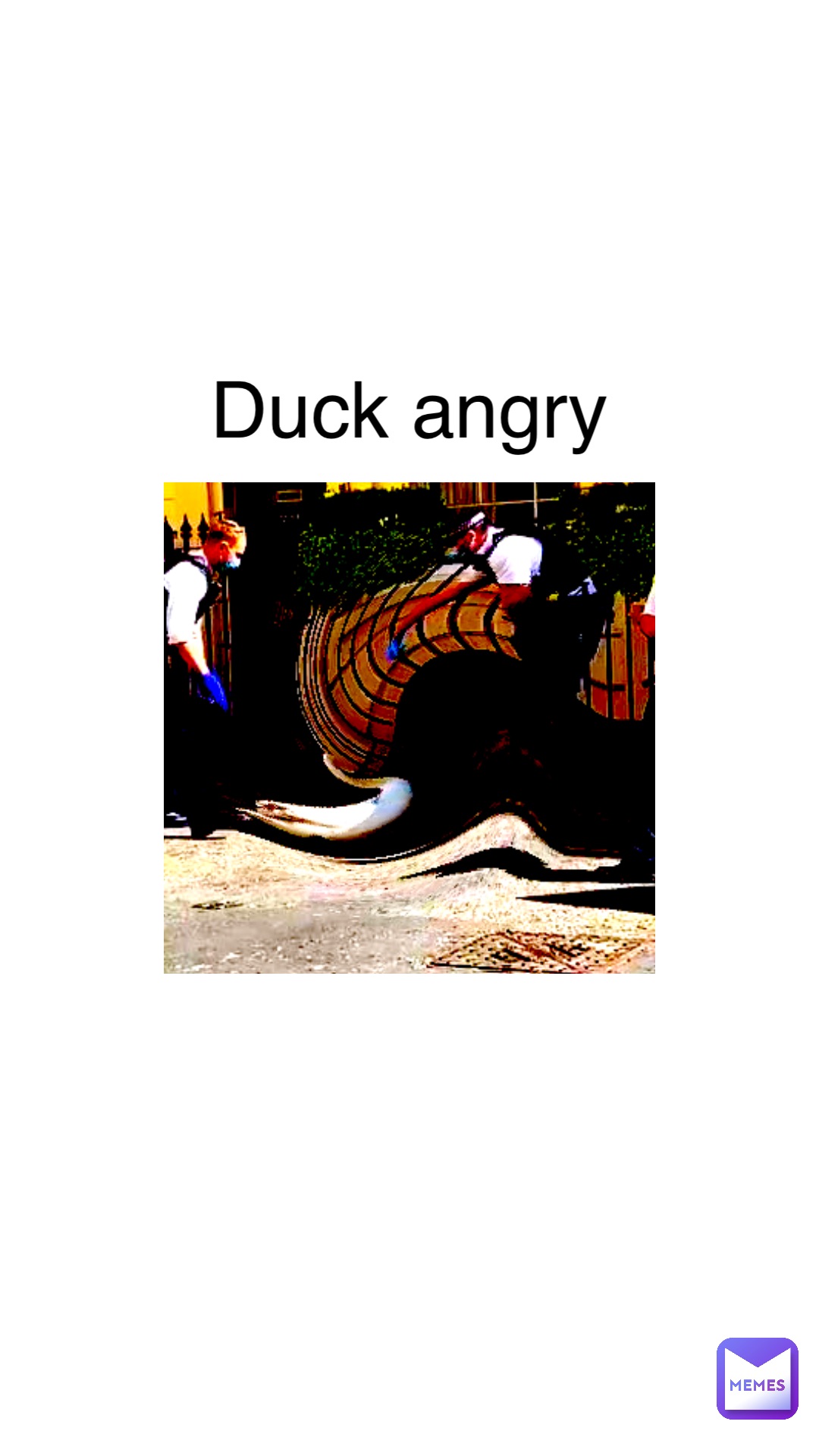 DuCk AnGrY
