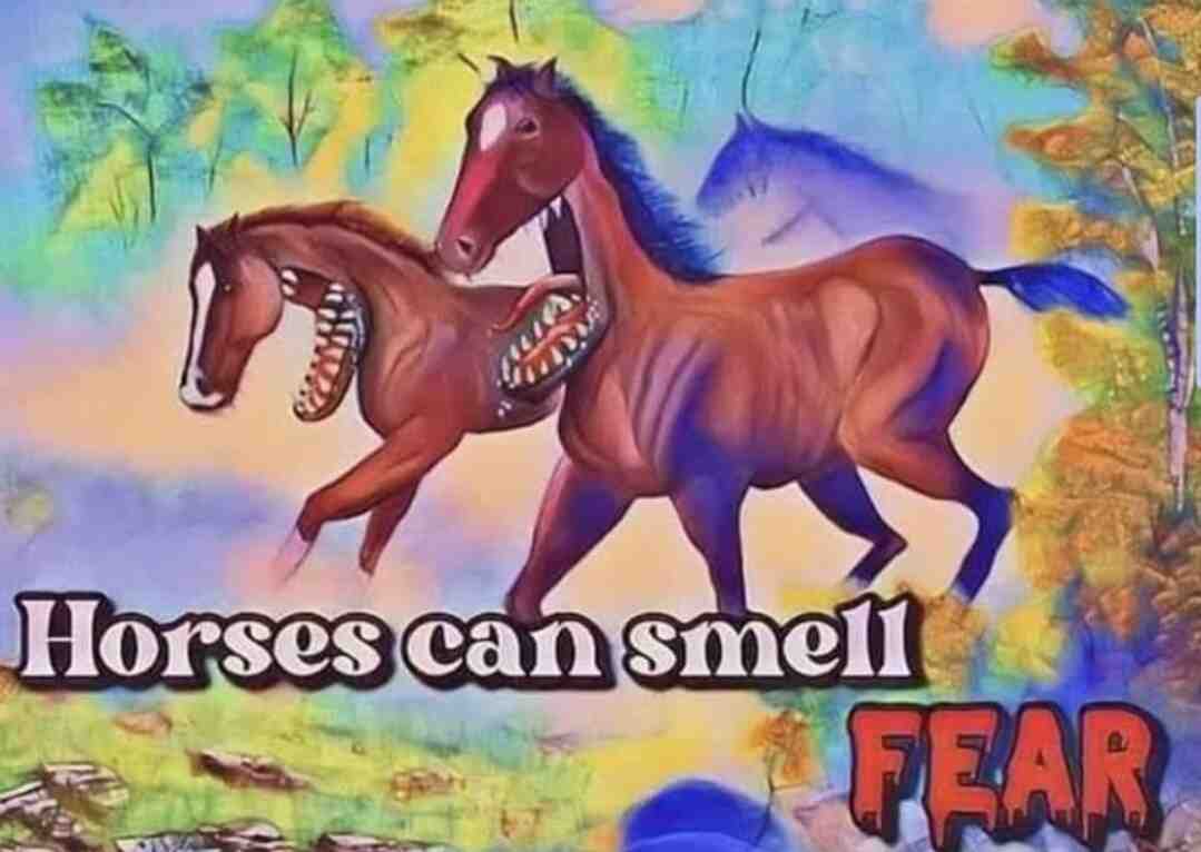 Meme shared by @Deer_God
