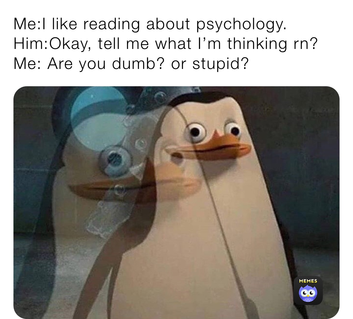 Meme by notyourregularsheikh