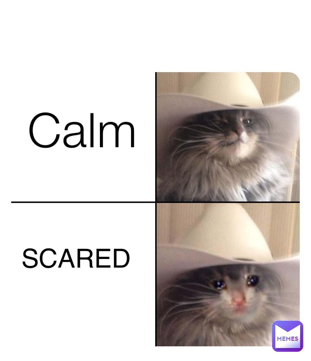 Calm SCARED