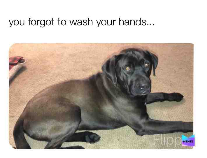 #coronamemes