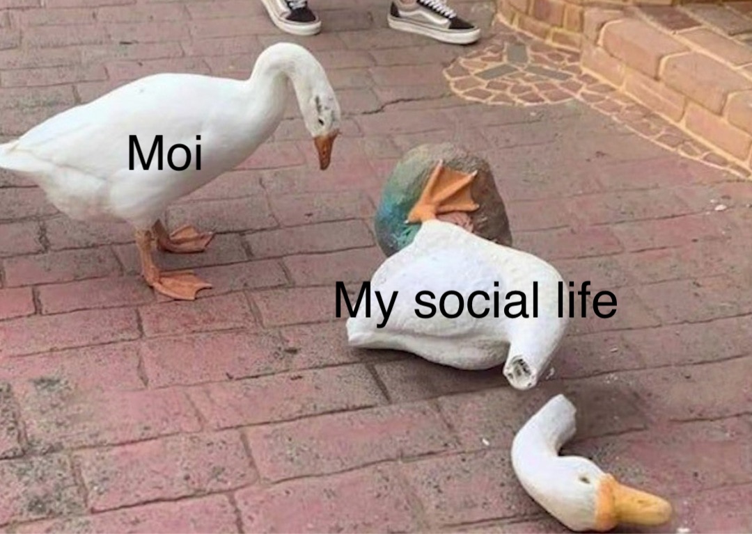 Moi My social life