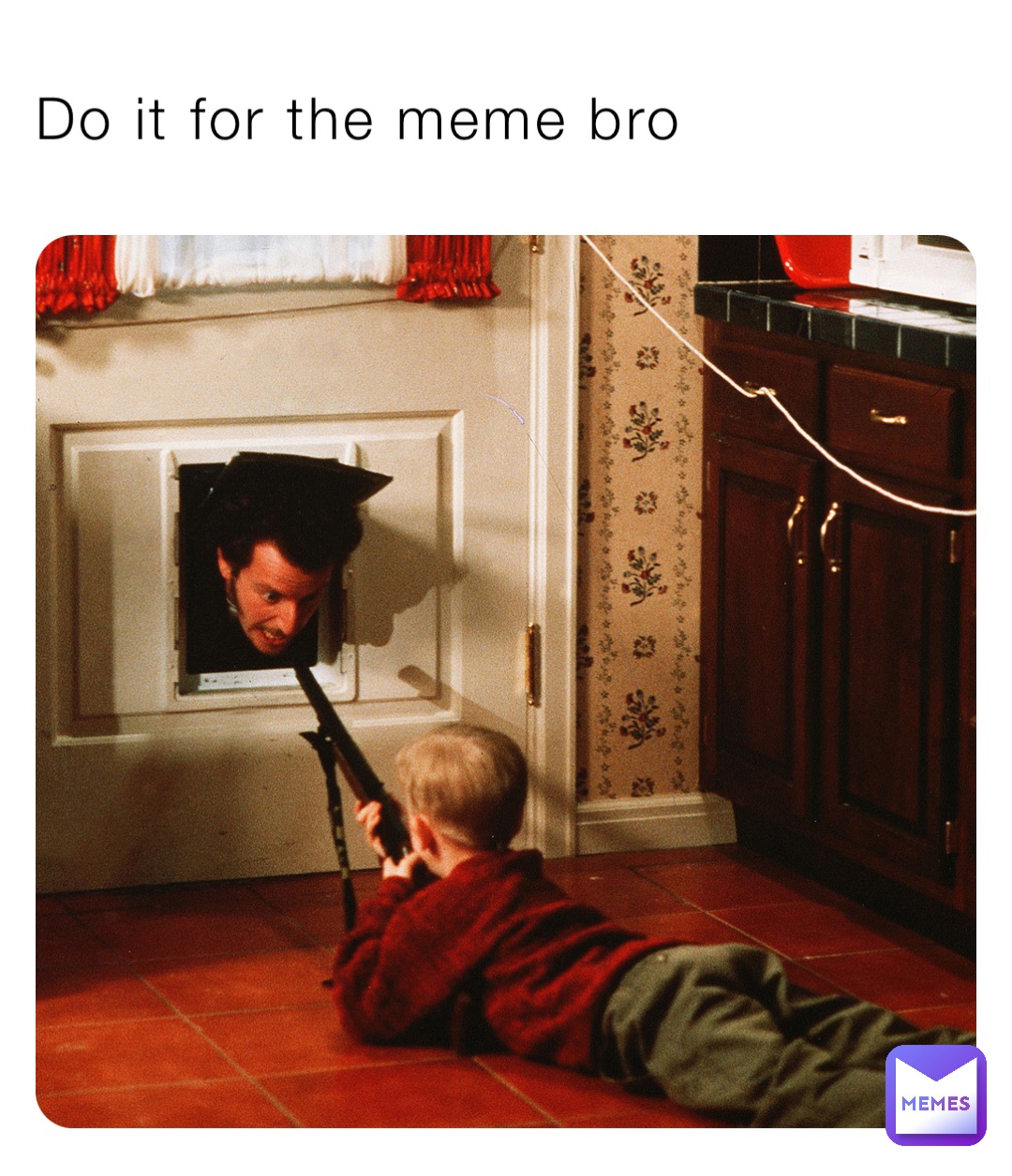 Do it for the meme bro
