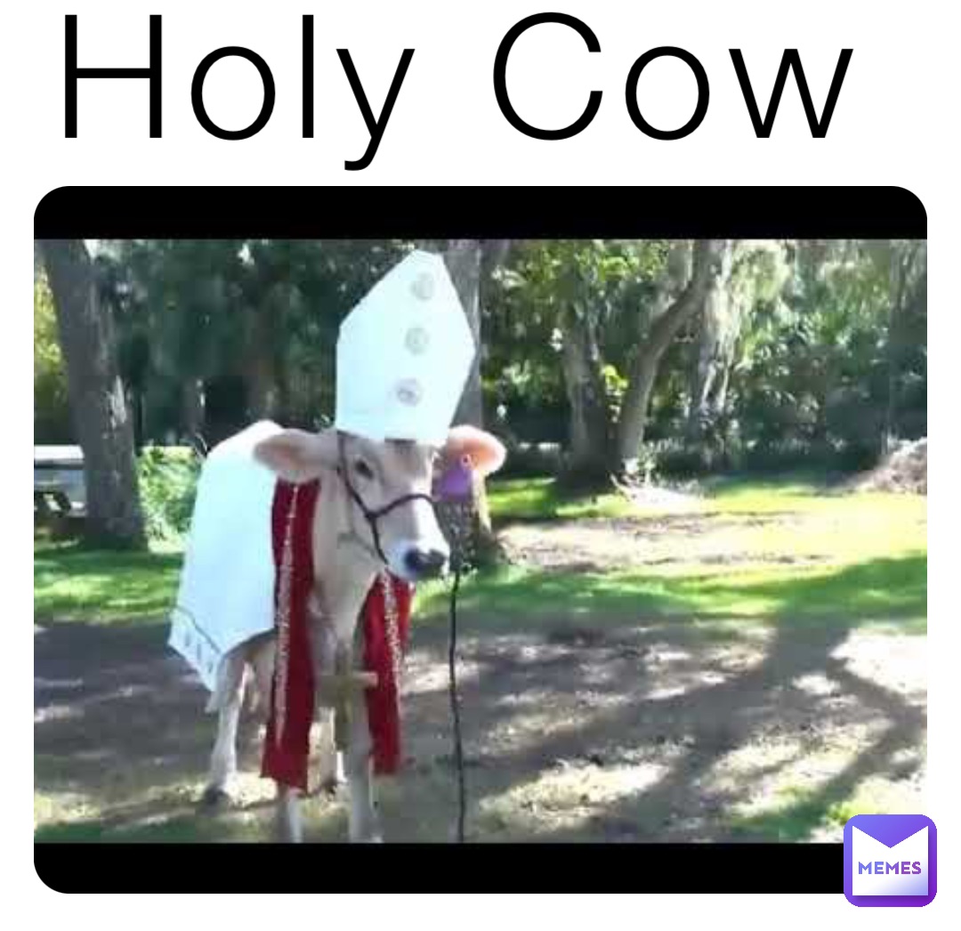 Holy Cow