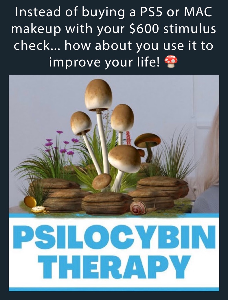 Instead of buying a PS5 or MAC makeup with your $600 stimulus check... how about you use it to improve your life! 🍄