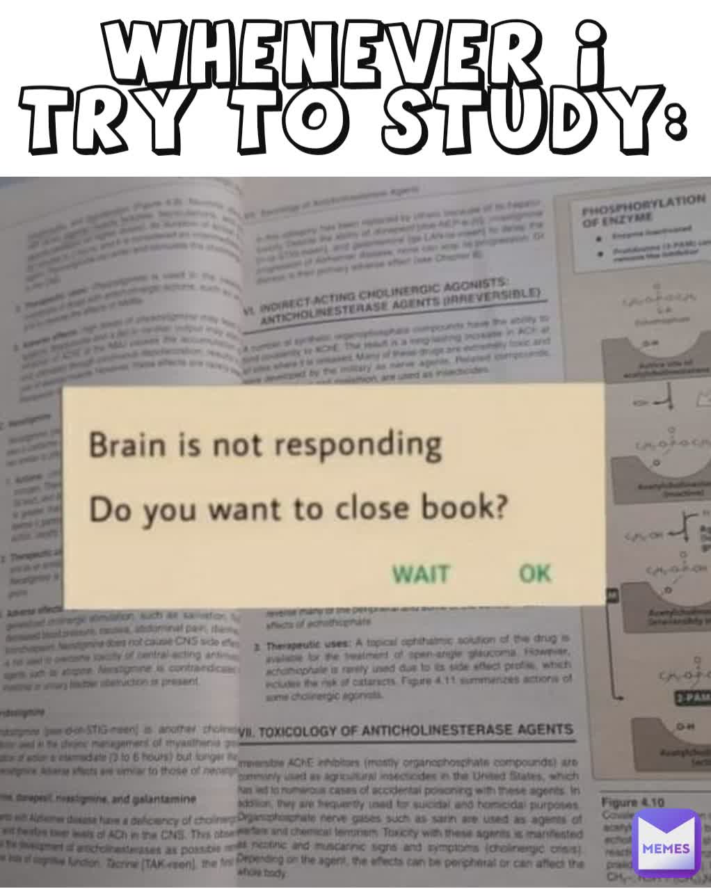 WHENEVER I TRY TO STUDY: