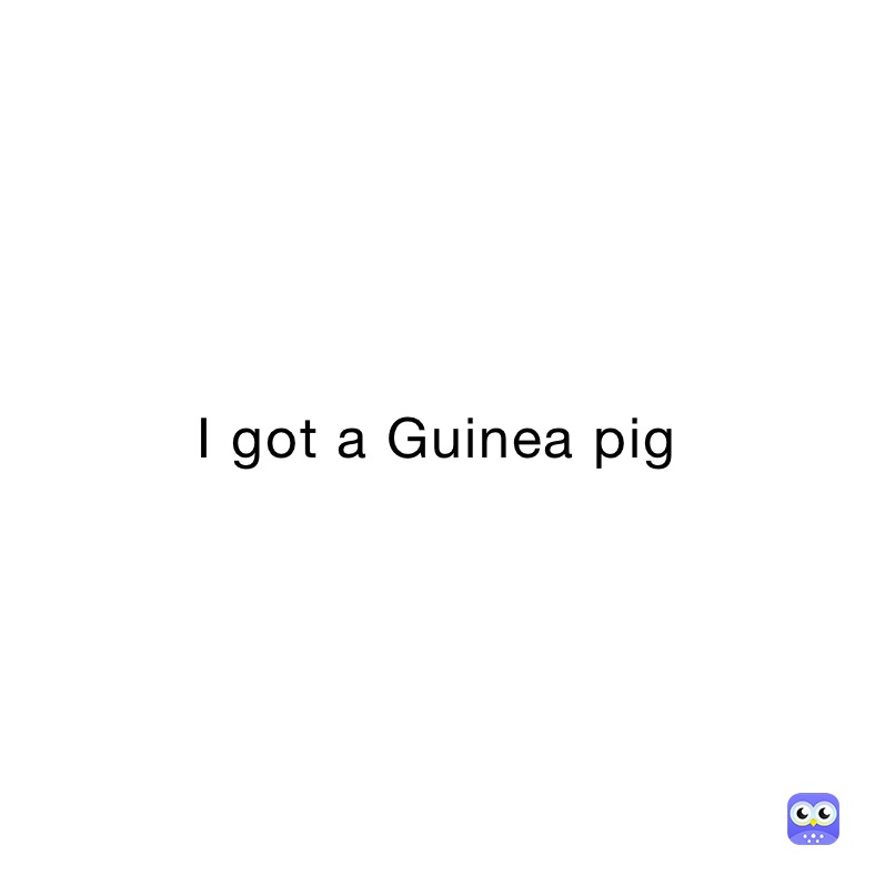 I got a Guinea pig