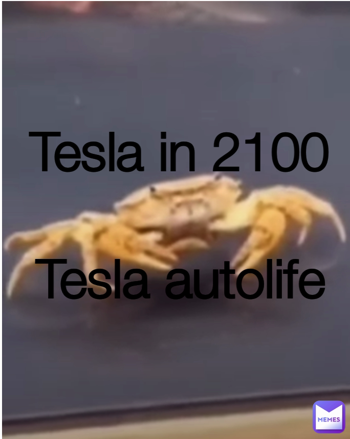 Tesla in 2100

Tesla autolife