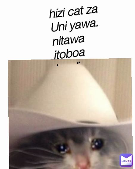 hii cat yawa..  hizi cat za Uni yawa. 
nitawaitoboa kweli