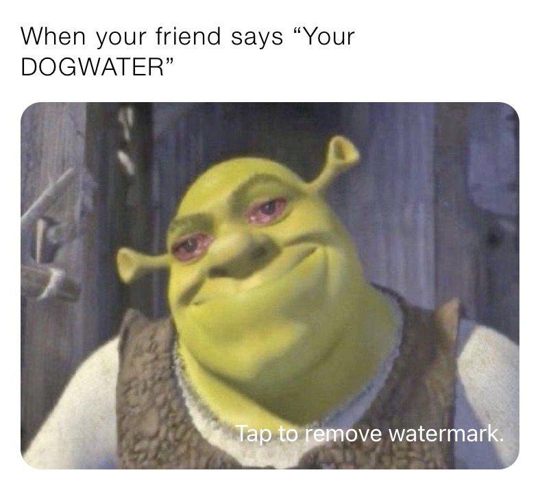 When your friend says “Your DOGWATER”