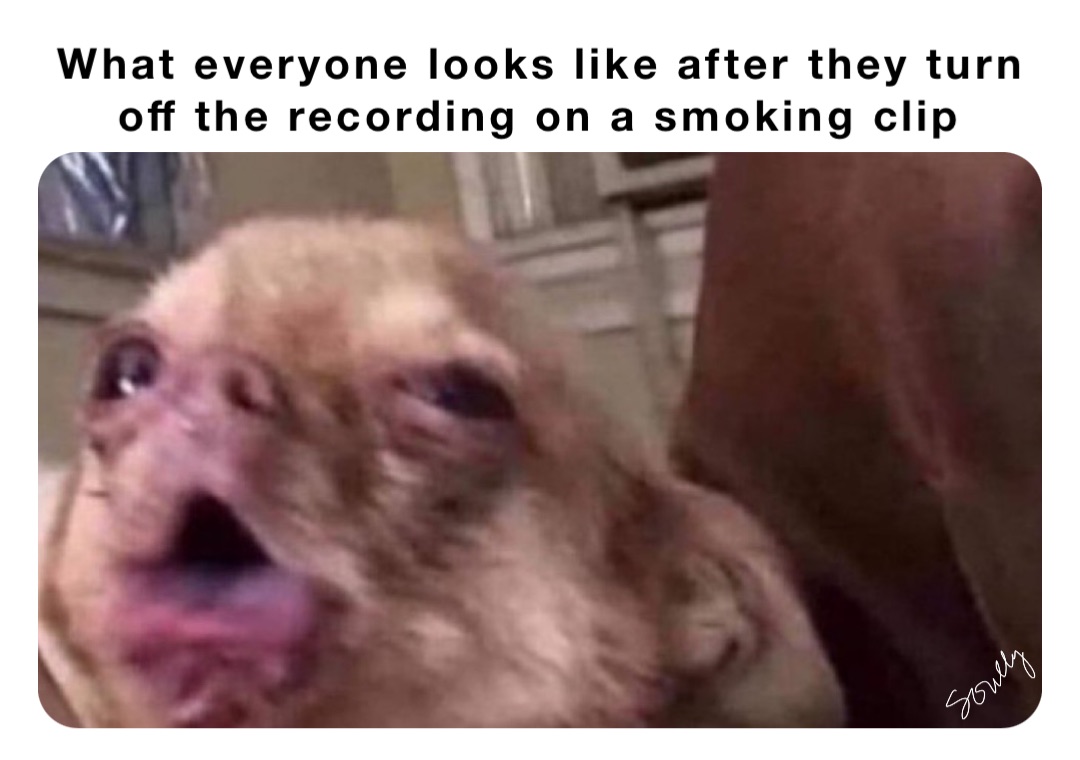 What everyone looks like after they turn off the recording on a smoking clip